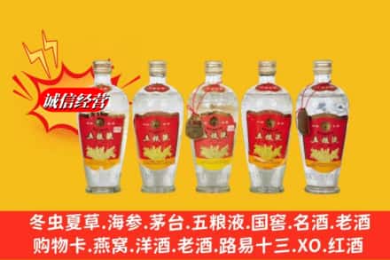 海口市美兰回收老五粮液